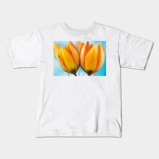 Tulipa orphanidea Whittallii Group AGM Tulip Miscellaneous tulip group Kids T-Shirt